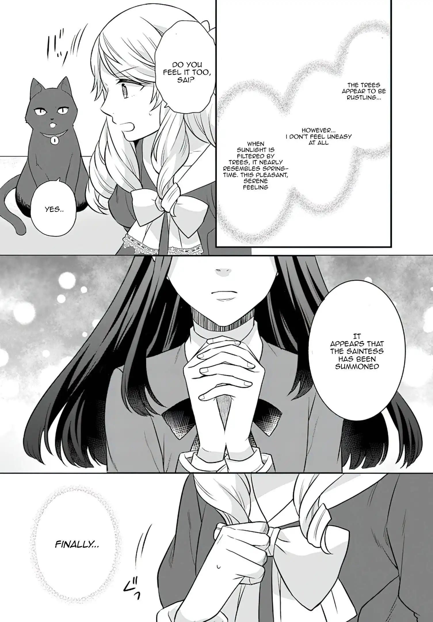 As A Result Of Breaking An Otome Game, The Villainess Young Lady Becomes A Cheat! Chapter 26 9